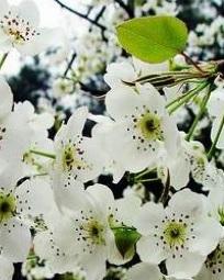 һ������������ȫ���Ķ�