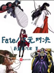 Fate��Ԫ�Ծ�ȫ���Ķ�